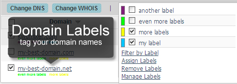 Domain name Labels
