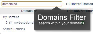 Domain names filter