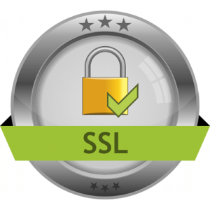 SSL certificates for higher ranking sites