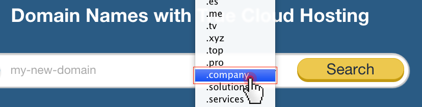 .COMPANY nTLD in the domain search form