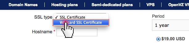 SSL certificates - select SSL type