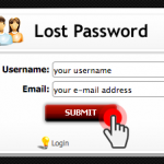 Password setup interface – reset password