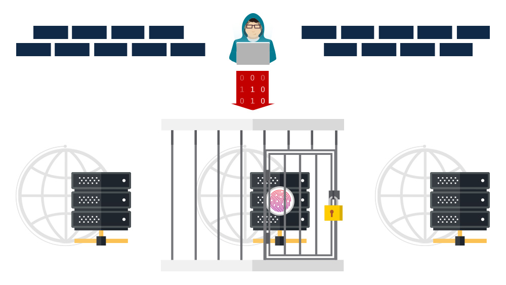 Jail host infographic