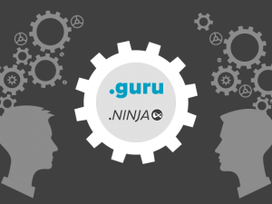 .GURU and .NINJA now open for registration