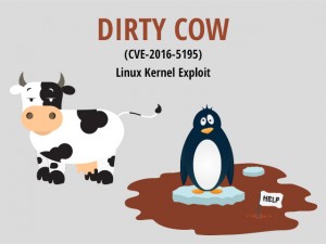 Dirty cow security flaw patched successfully