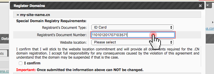 .CN domain registration - document number