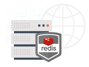 Redis data storage system on our hosting-platform