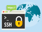 Web-based SSH in Hepsia Control Panel