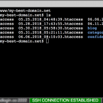 Web-based SSH terminal – download log