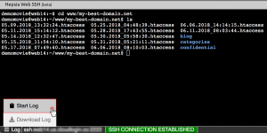 Web-based SSH terminal - download log