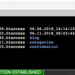 Web-based SSH terminal – full-view