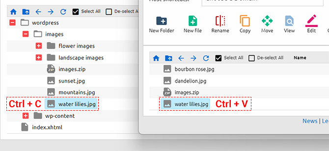 File Manager shortcut keys - Ctrl+C